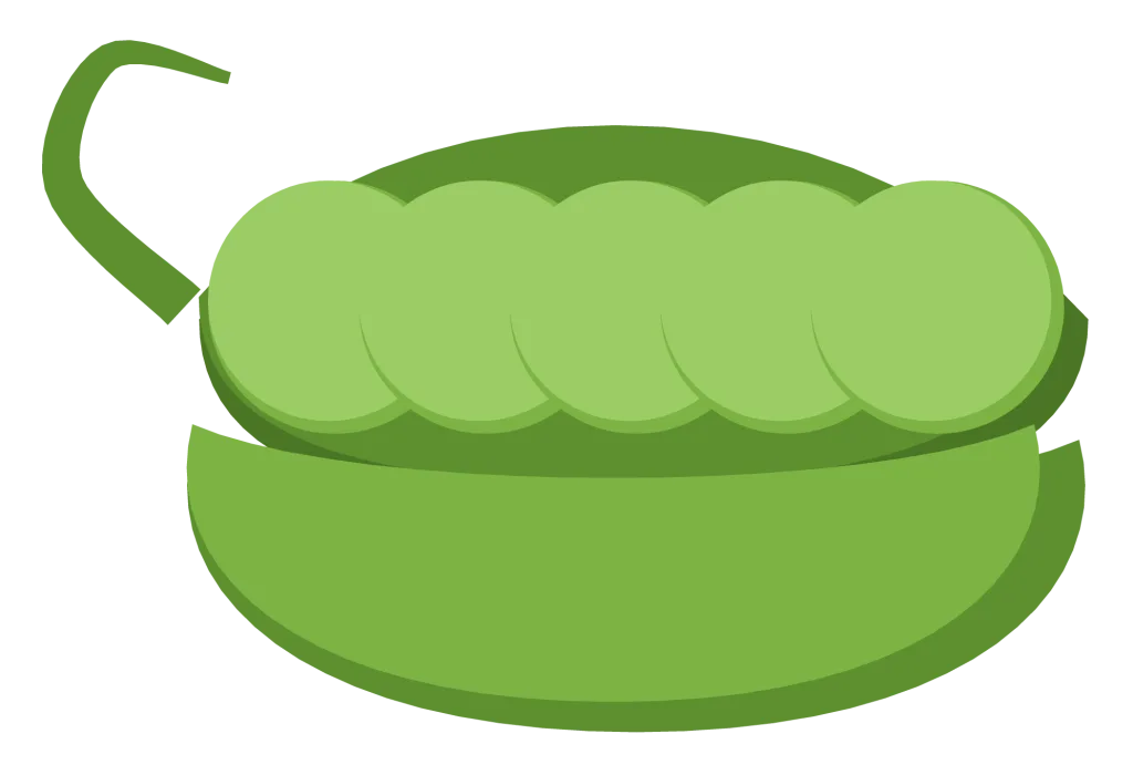 An open green pea pod with five round peas showing along the inside.
