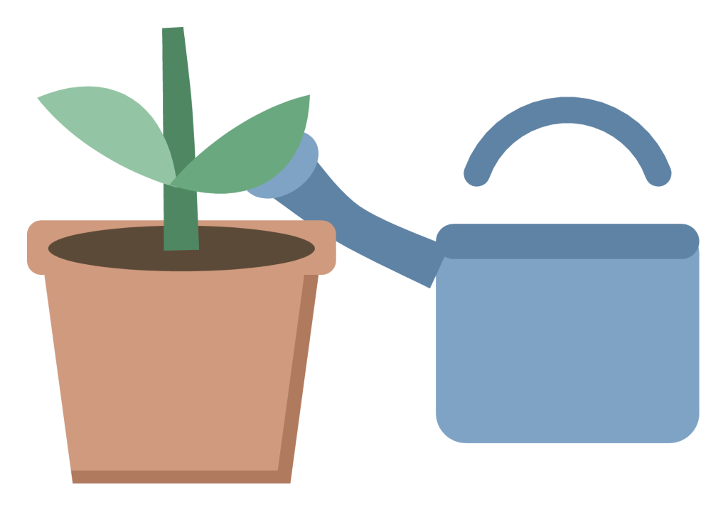 A small seedling with two leaves growing in a terracotta pot, with a watering can beside it.