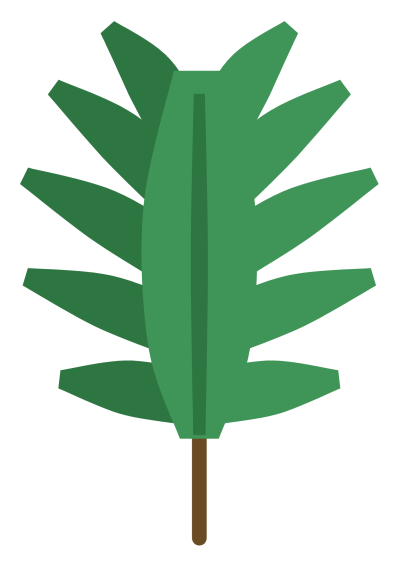 A tropical monstera leaf with deep splits between broad segments.