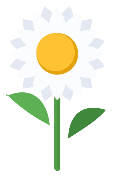 A white daisy with rounded petals, a yellow centre and a slender green stem.