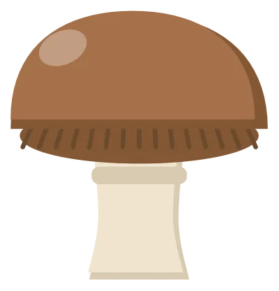 A brown-capped mushroom with a thick cream stem and gills showing beneath the cap.